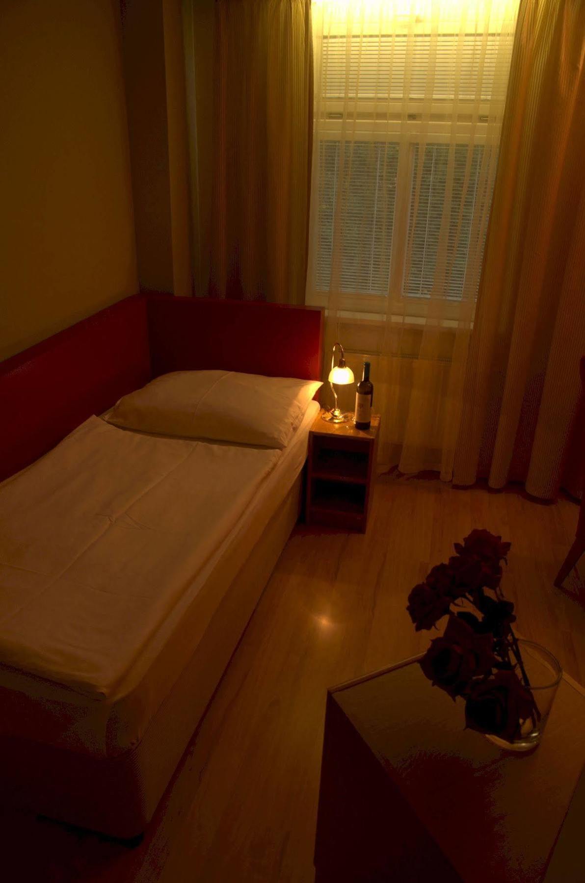 Hotel PAYER Teplice Extérieur photo